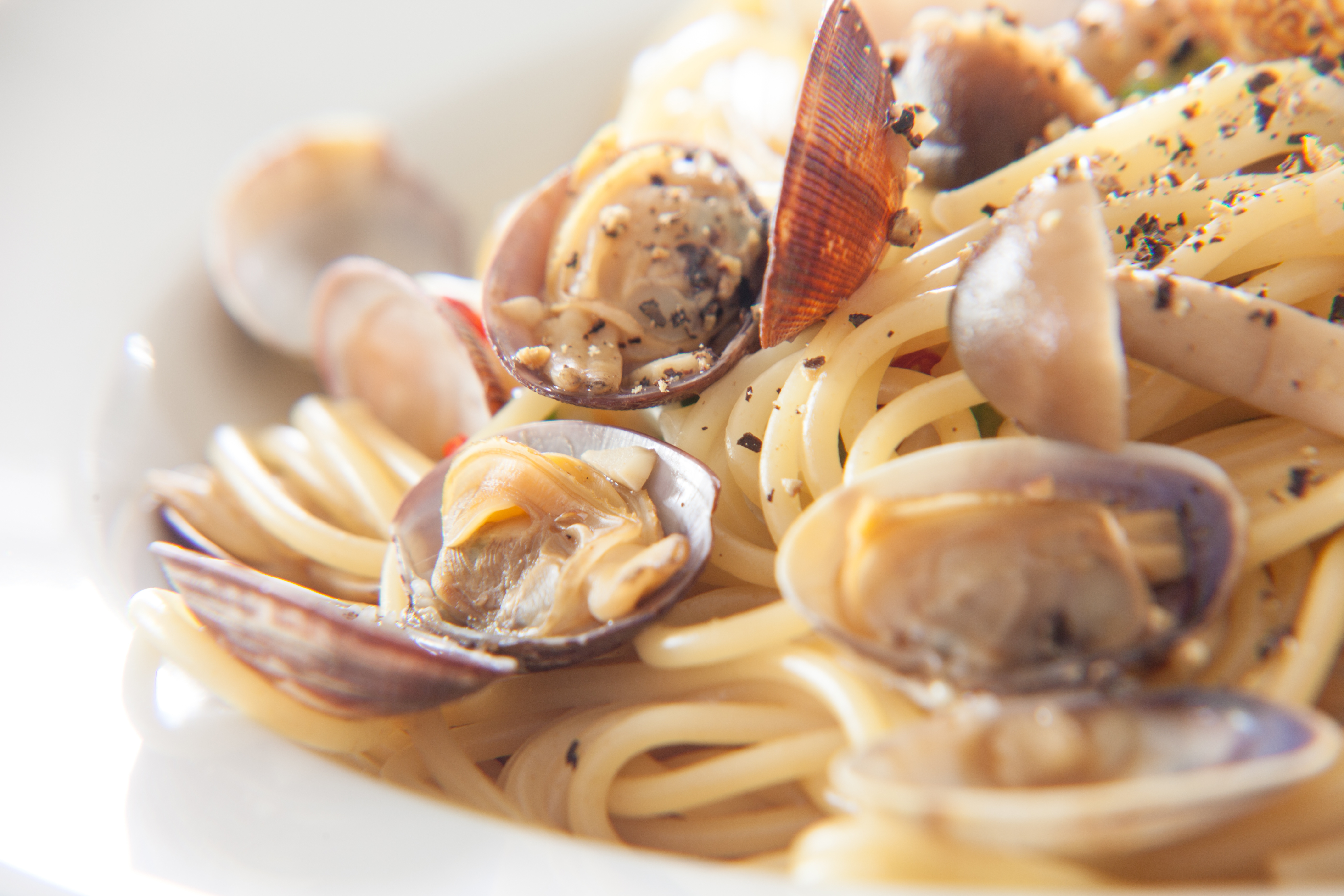 料理撮影 イタリアン