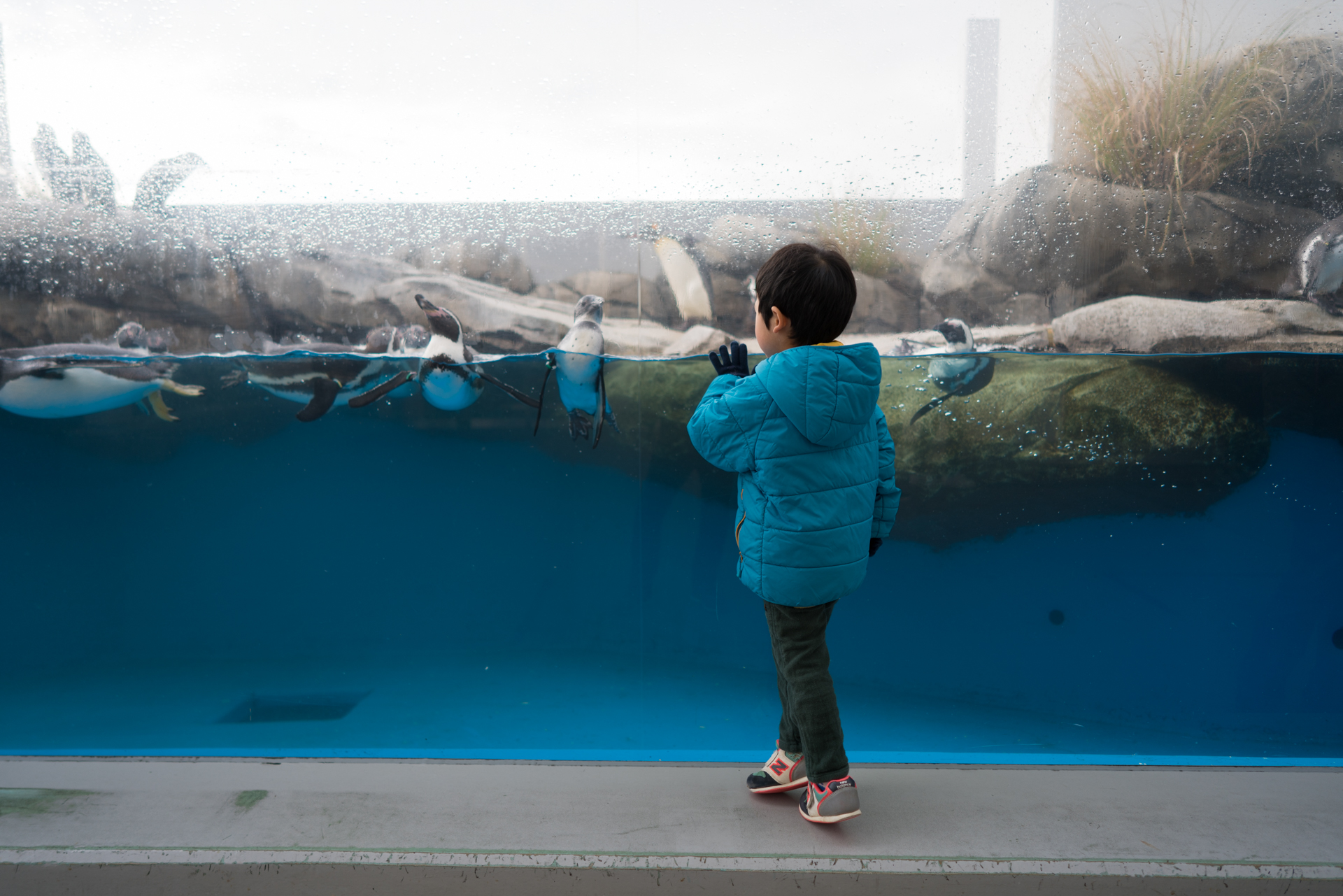 水族館