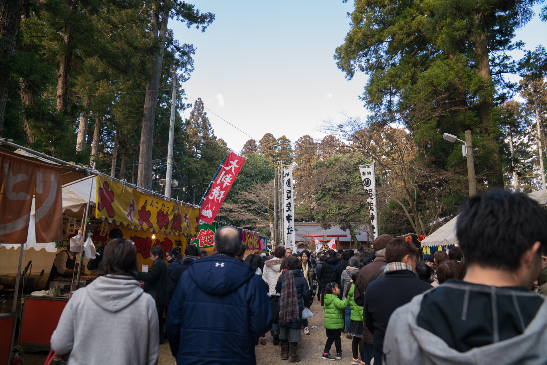 賀茂神社