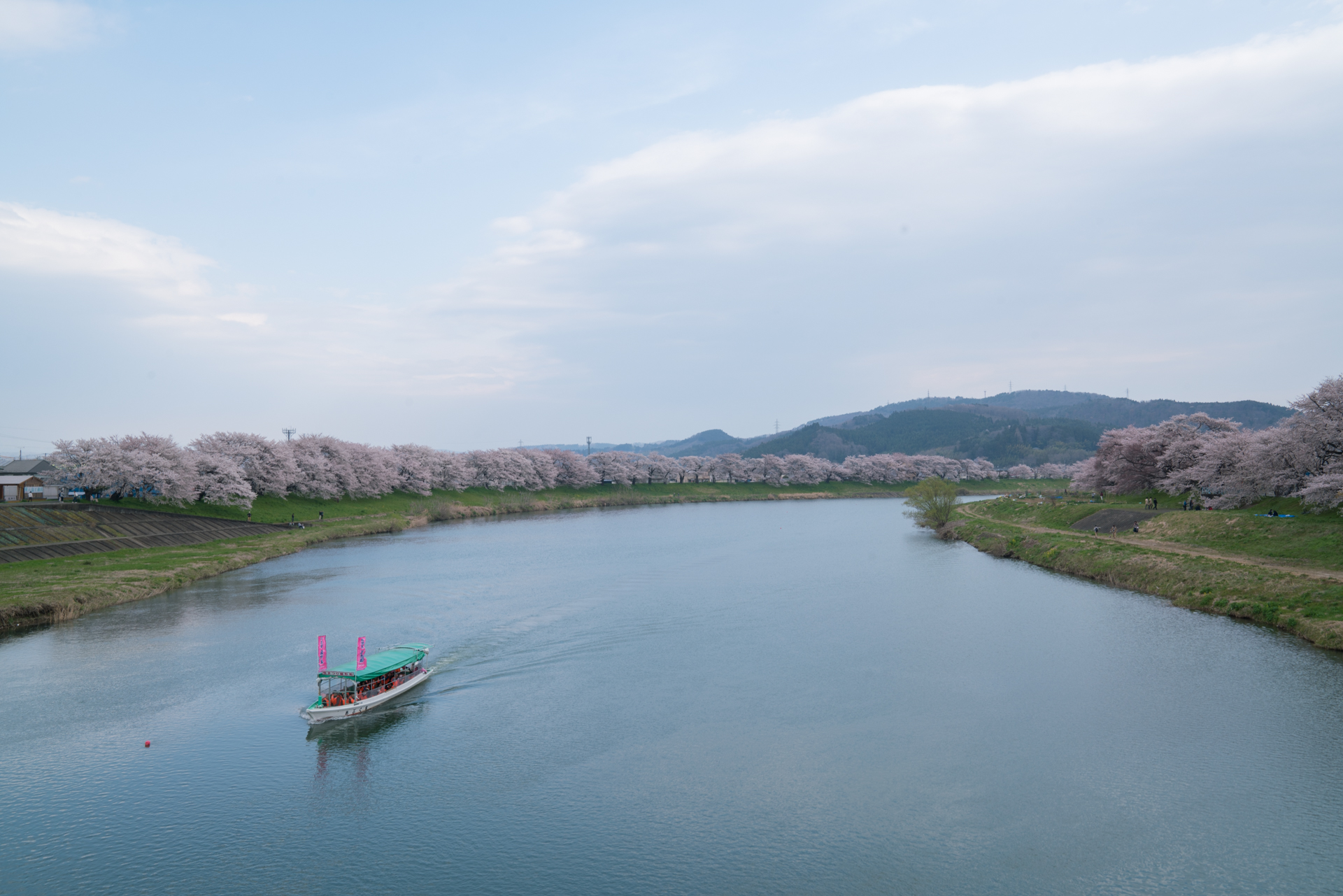 大河原 一目千本桜2017